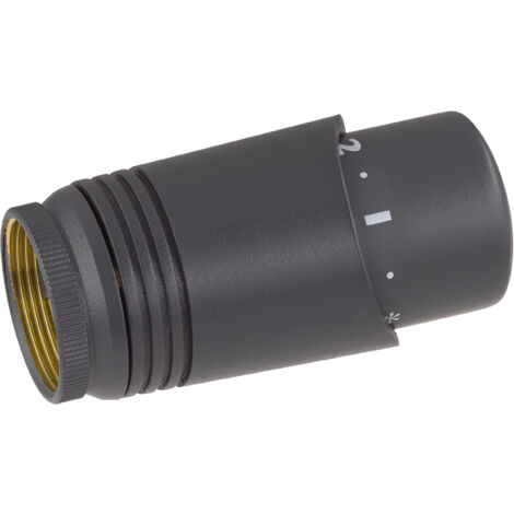 Tête thermostatique design pour robinet de radiateur NOYON & THIEBAULT Anthracite