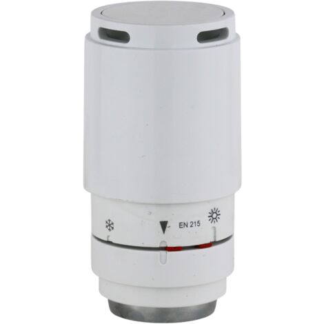 Tête thermostatique Domignon Pettinaroli 109L blanc