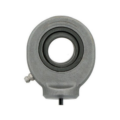 Têtes de rotule GK20 DO 20mm INA