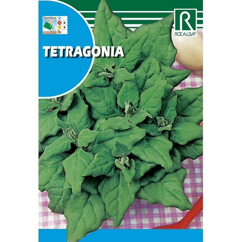 

Semillas de Tetragonia