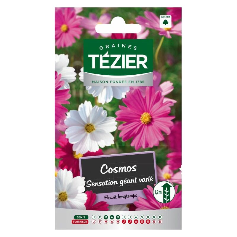 Tézier - Tezier - Cosmos Sensation géant varié -- Fleurs annuelles
