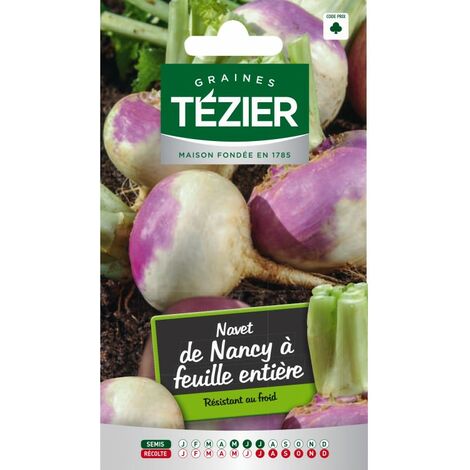 Plantes D Exterieur Tezier Navet De Croissy Jardin Stationeryonline Co Nz