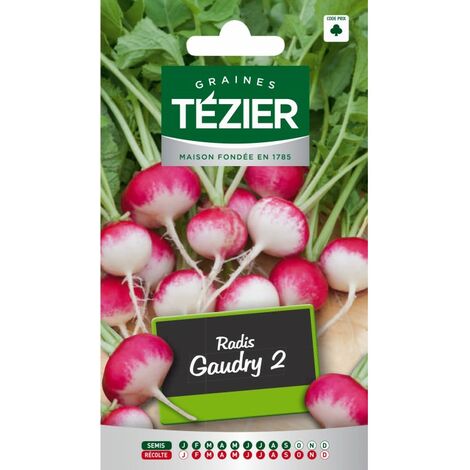 Plantes D Exterieur Tezier Navet De Croissy Jardin Stationeryonline Co Nz