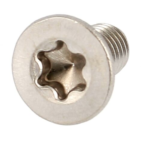 TF Torx M2.5X20 Inox A4 DIN 965