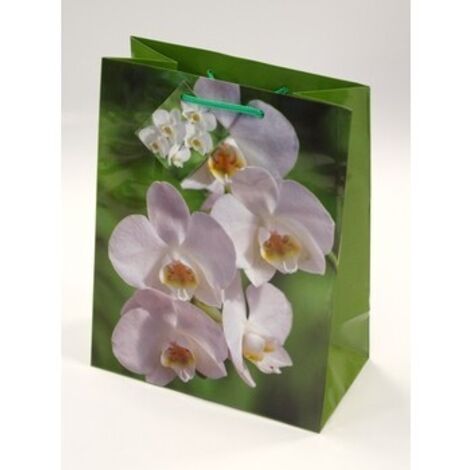 TG-20 dekorative Geschenktüte aus Papier