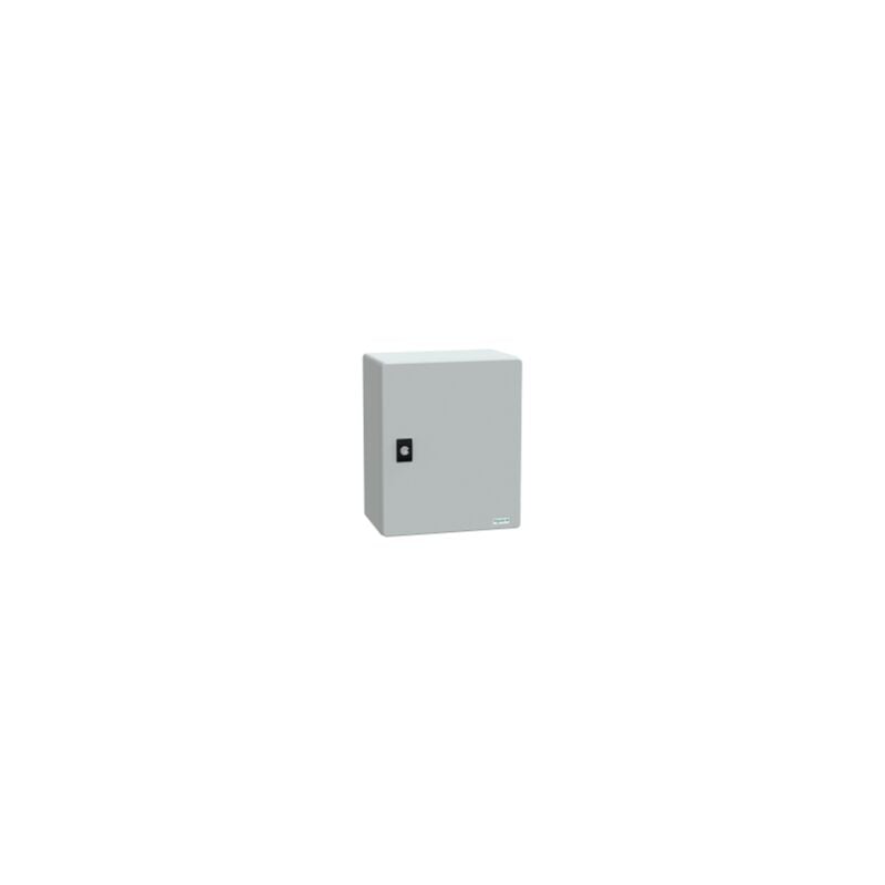 Schneider - Thalassa plm - Coffret polyester 308x250x160+chassis metallique - IP66 Ral 7035 - NSYPLM3025PG