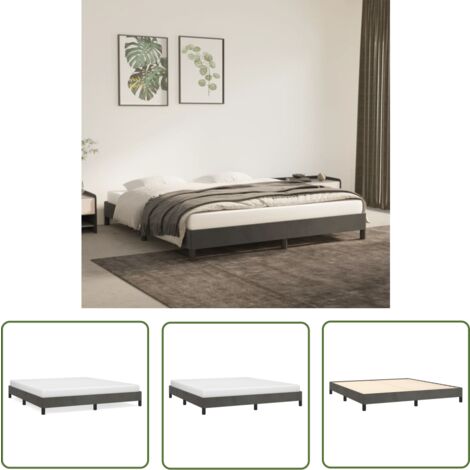 The Living Store Bettgestell ohne Matratze Dunkelgrau 160x200 cm Samt - Samtbett - Doppelbett - Boxspringbetten - Bettrahmen - Bettgestell