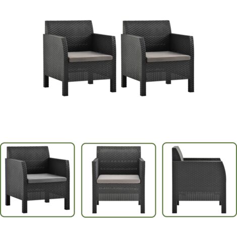 The Living Store Chaises de jardin avec coussins lot de 2 PP Rotin Anthracite - Chaise De Jardin - Mobilier De Jardin - Chaise Extérieure - Fauteuil De Jardin - Set De Chaises
