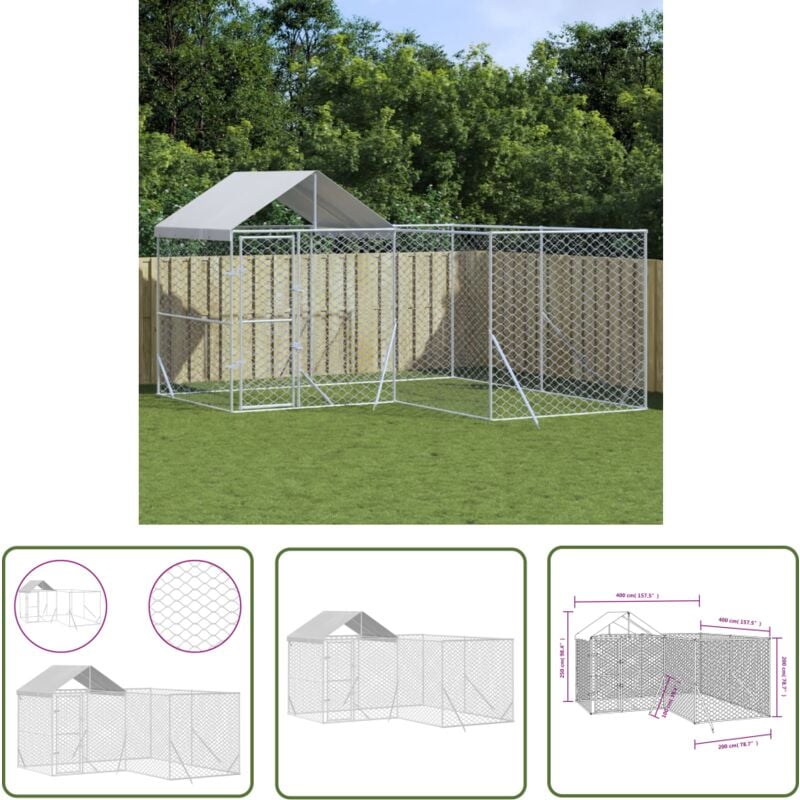 Jinlefu - The Living Store Chenil d'extérieur pour chiens avec toit argenté 4x4x2,5 m - Chenil Exterieur - Abri Chien - Enceinte Chien - Niche Chien