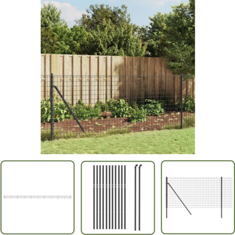 The Living Store Clôture en treillis métallique anthracite 0,8x25 m - Clôture Métal - Clôture Jardin - Clôture Rigide - Clôture Anthracite - Clôture Sécurité