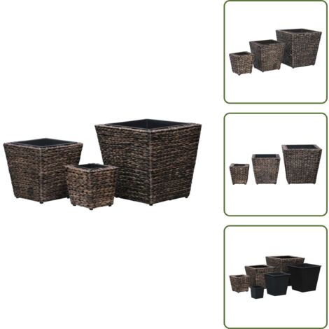 The Living Store Conjunto de arriates 3 piezas jacinto de agua marrón - Macetas de jacinto