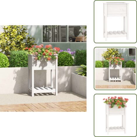The Living Store Fioriera con Mensola Bianca 54x34,5x81cm Legno Massello di Pino - Fioriera da giardino