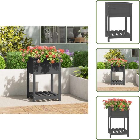 The Living Store Fioriera con Mensola Grigia 54x54x81 cm Legno Massello di Pino - Fioriera da giardino