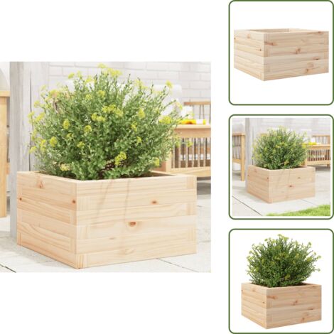 The Living Store Fioriera da Giardino 40x40x23 cm in Legno Massello di Pino - Fioriera in legno