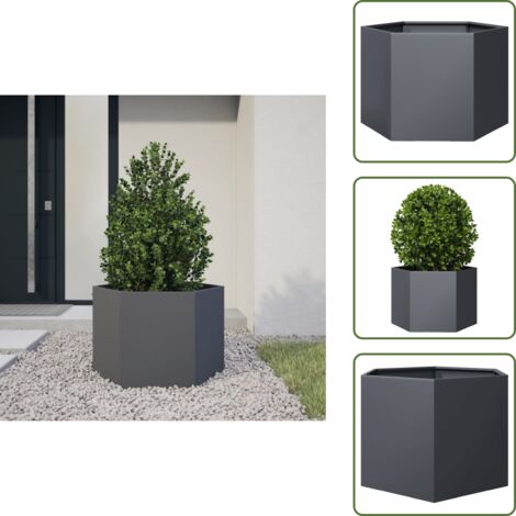The Living Store Fioriera da Giardino Antracite Esagono 69x60x45 cm in Acciaio - Fioriera in acciaio