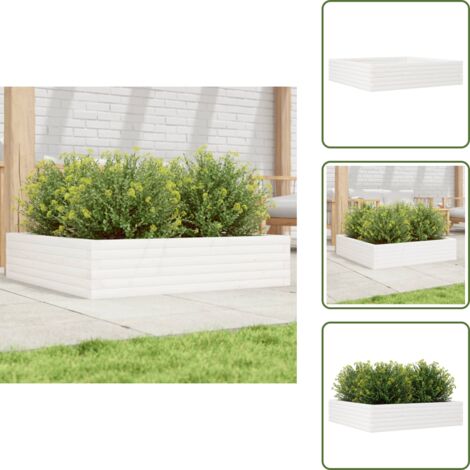 The Living Store Fioriera da Giardino Bianca 100x100x23 cm Legno Massello Pino - Fioriera in legno