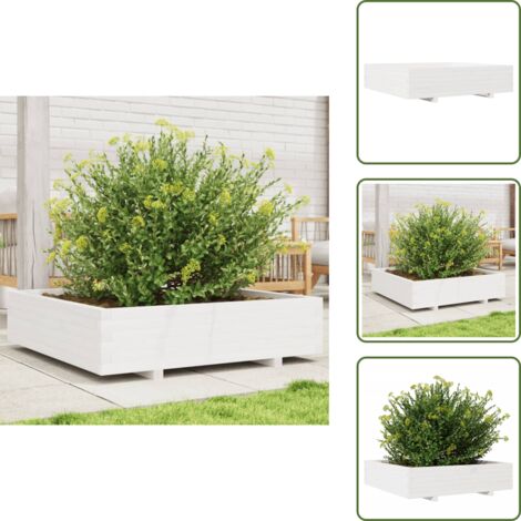 The Living Store Fioriera da Giardino Bianca 100x100x26,5cm Legno Massello Pino - Fioriera in legno