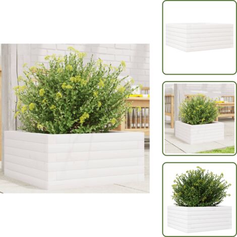 The Living Store Fioriera da Giardino Bianca 50x50x23 cm Legno Massello di Pino - Fioriera in legno