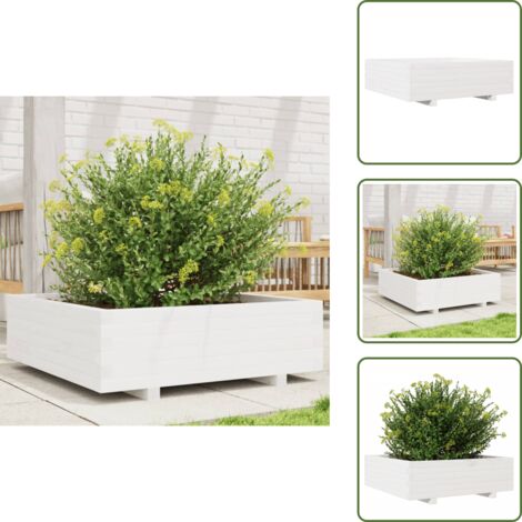 The Living Store Fioriera da Giardino Bianca 80x80x26,5cm Legno Massello di Pino - Fioriera in legno