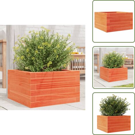 The Living Store Fioriera Giardino Marrone Cera 40x40x23 cm Legno Massello Pino - Fioriera in legno