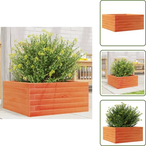 The Living Store Fioriera Giardino Marrone Cera 50x50x23 cm Legno Massello Pino - Fioriera in legno