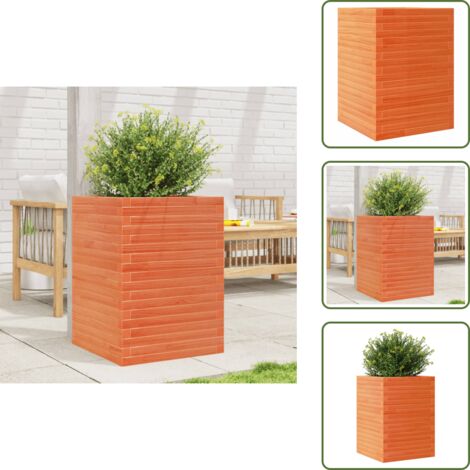 The Living Store Fioriera Giardino Marrone Cera 50x50x68,5cm Legno Massello Pino - Fioriera da patio