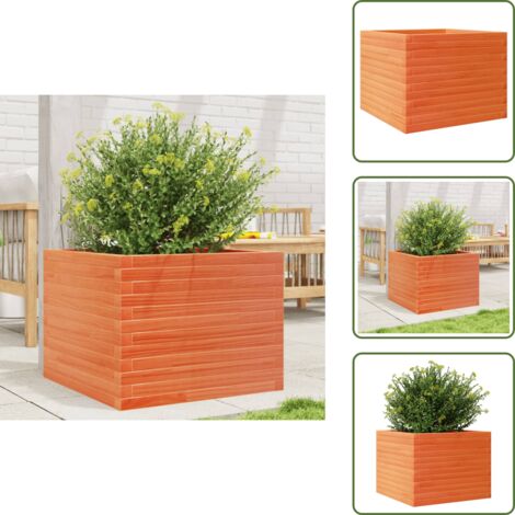 The Living Store Fioriera Giardino Marrone Cera 60x60x45,5cm Legno Massello Pino - Fioriera in legno