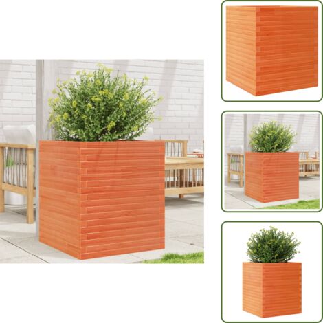 The Living Store Fioriera Giardino Marrone Cera 60x60x68,5cm Legno Massello Pino - Fioriera da patio