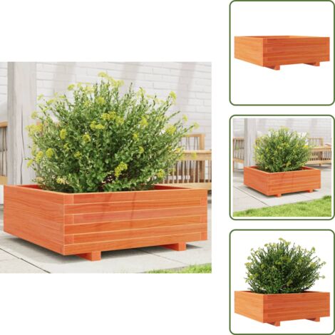The Living Store Fioriera Giardino Marrone Cera 70x70x26,5cm Legno Massello Pino - Fioriera in legno