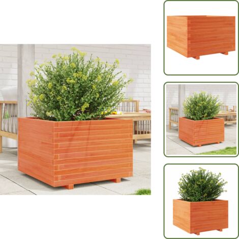 The Living Store Fioriera Giardino Marrone Cera 70x70x49,5cm Legno Massello Pino - Fioriera esterna