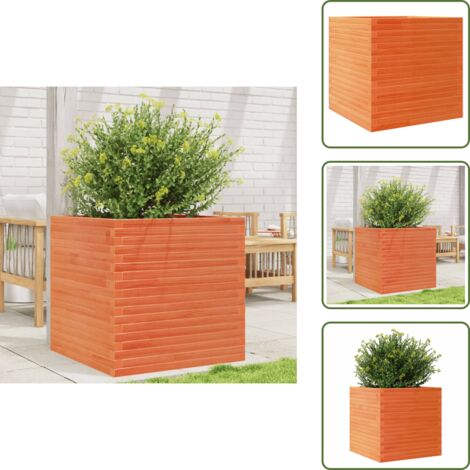 The Living Store Fioriera Giardino Marrone Cera 70x70x68,5cm Legno Massello Pino - Fioriera da balcone