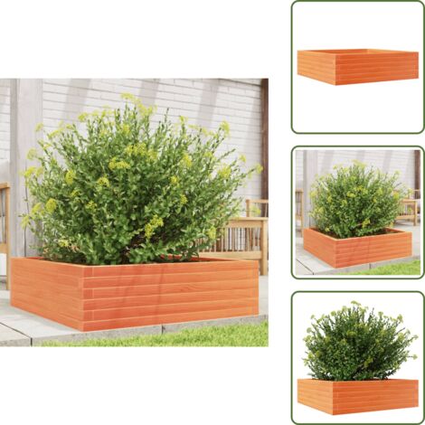 The Living Store Fioriera Giardino Marrone Cera 80x80x23 cm Legno Massello Pino - Fioriera in legno