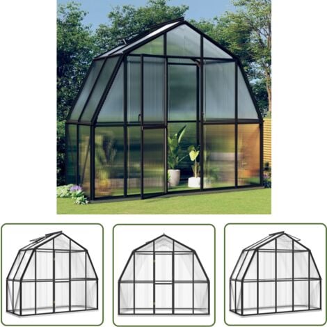 The Living Store Gewächshaus mit Fundamentrahmen Anthrazit 3,3 m² Aluminimum - Treibhaus - Gewächshaus - Gartenhaus - Polycarbonat - Aluminium