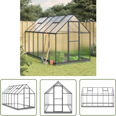The Living Store Gewächshaus mit Fundamentrahmen Anthrazit 334x169x202 cm Alu - Gehäuse - Gewächshaus - Polycarbonat Greenhouse - Gartengewäschhauss - Aluminium Greenhouse