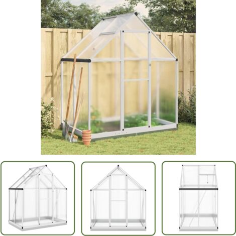 The Living Store Gewächshaus mit Fundamentrahmen Silbern 169x114x202 cm Alu - Gehäuse - Gewächshaus - Polycarbonat - Gartenhaus - Aluminium