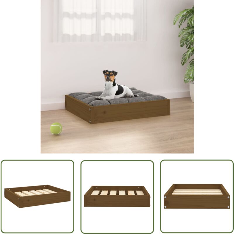 Lit pour chien Marron miel 51,5x44x9 cm Bois de pin solide - Panier Pour Chien - Lit Pour Chien - Canapé Pour Chien - Maison Pour Chien - Couchage