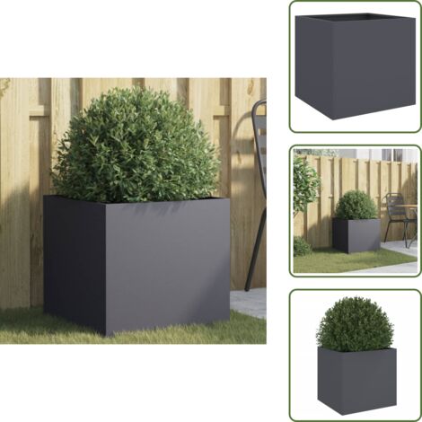 The Living Store Jardinera acero gris antracita 49x47x46 cm - Maceta decorativa