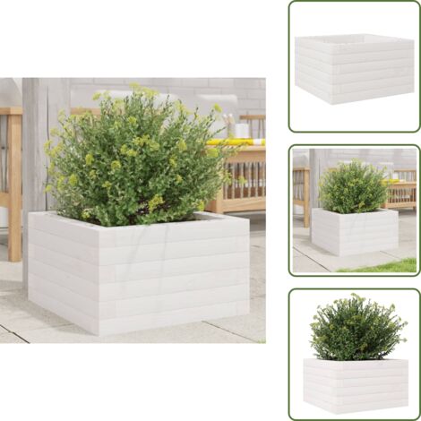 The Living Store Jardinera de madera maciza de pino blanca 40x40x23 cm - Macetero de jardín