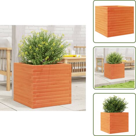The Living Store Jardinera exterior madera maciza pino marrón cera 50x50x46 cm - Jardinera exterior