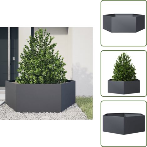 The Living Store Jardinera hexagonal acero gris antracita 138x120x45 cm - Jardinera de acero