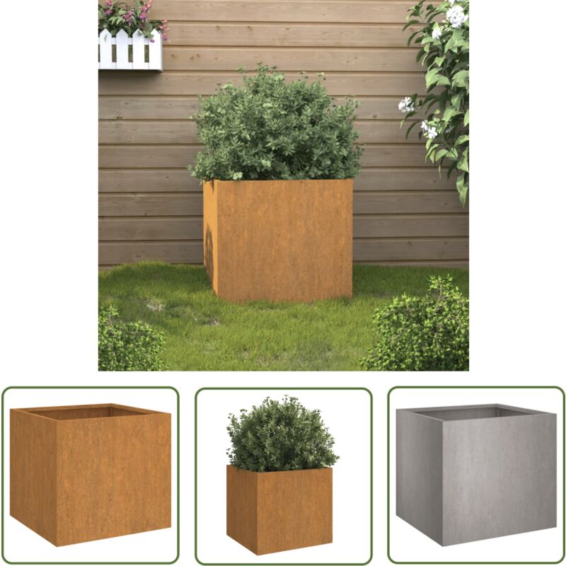 Jardinière 49x47x46 cm acier corten - Jardinier - Pot De Fleurs - Bac à Fleurs - Acier Corten - Jardinière Extérieure - The Living Store