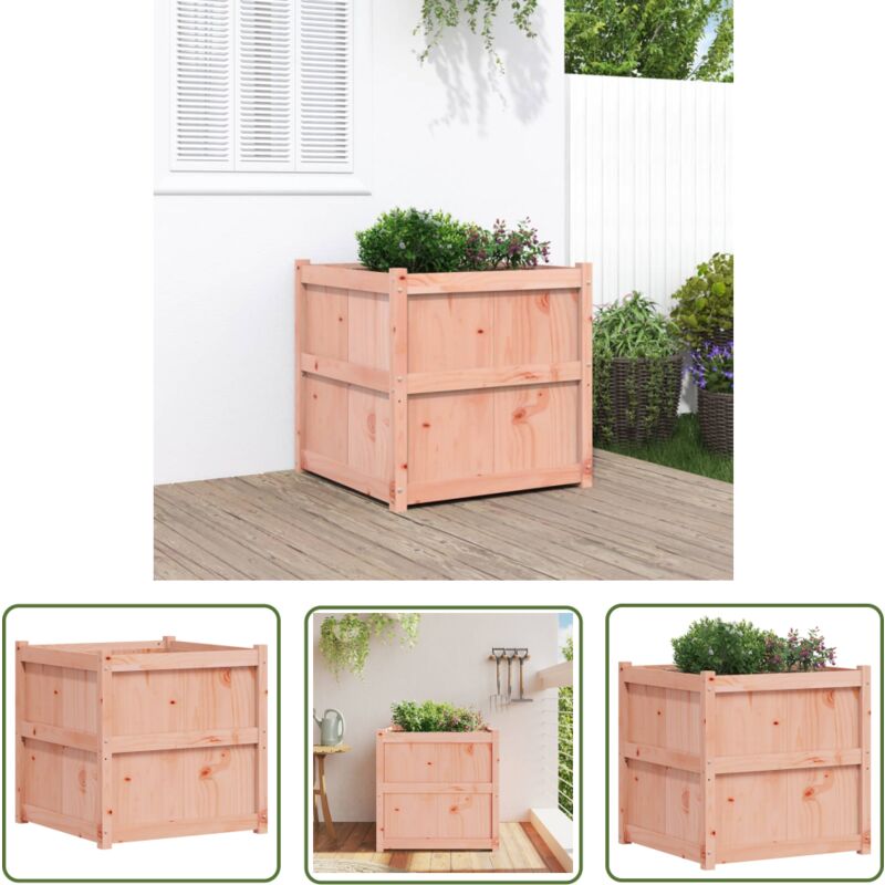 The Living Store - Jardinière 70x70x70 cm bois massif de douglas - Jardiniered'extérieure - Pot De Fleurs Extérieur - Jardinière Bois - Douglis