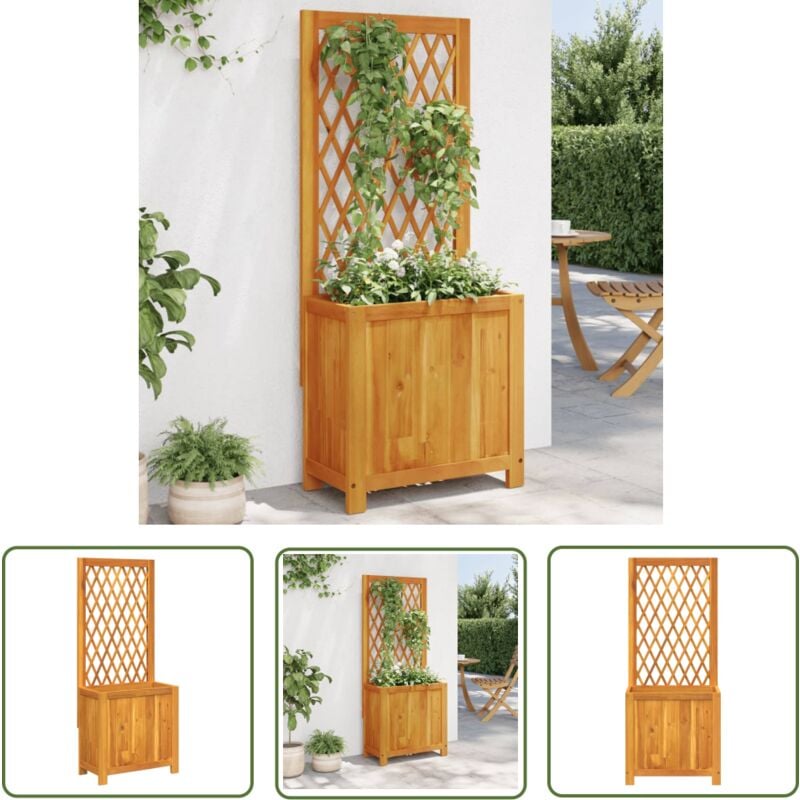 Jardinière avec treillis 55x29,5x132 cm bois massif d'acacia - Jardinier - Pot De Fleurs - Bac à Plantation - Acacia - Plante Grimpante - The Living