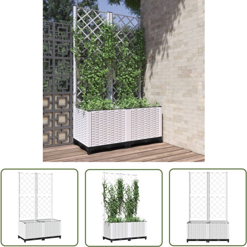 Jardinière avec treillis Blanc 80x40x136 cm pp - Jardinierre Murale - Pot Plante Grimpante - Support Vignes - Pot Fleuri Extérieur - Décoration
