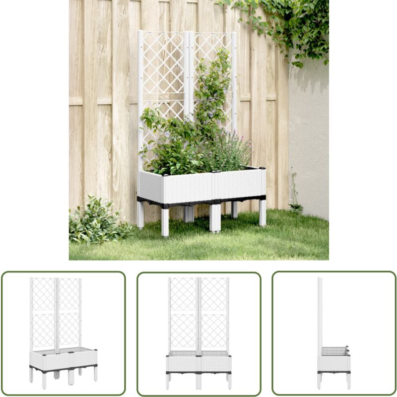 Jardinière avec treillis blanc 80x40x142 cm pp - Jardinier - Pot Plante Grimpante - Pot Extérieur - Décoration Jardin - Bac Plantation - The Living