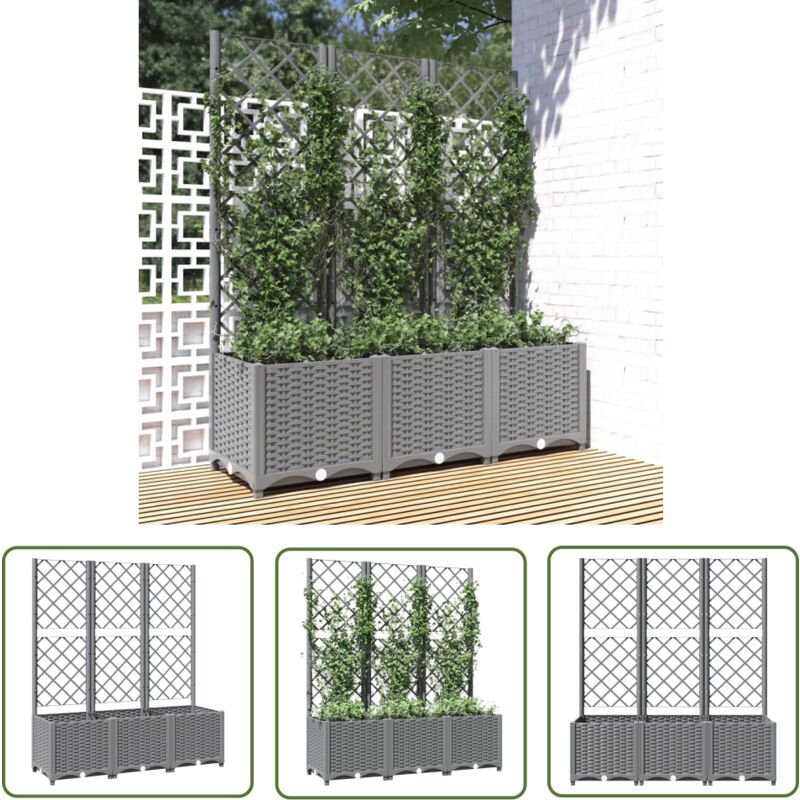 Jardinière avec treillis Gris clair 120x40x136 cm pp - Jardinier - Pot Plante Grimpante - Pot Fleuri - Treillage Jardin - Bac Culture Tomate - The