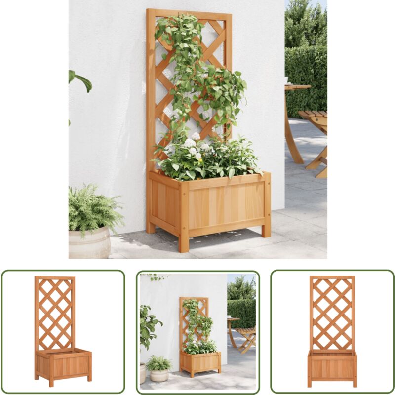 Jardinière avec treillis marron bois massif de sapin - Jardinierre En Bois - Jardinière Avec Treillis - Pot De Fleurs Exterieur - Plante Grimpante
