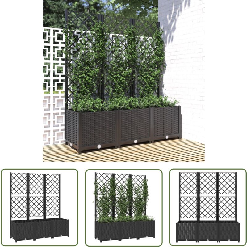 The Living Store - Jardinière avec treillis Noir 120x40x136 cm pp - Jardinierre - Pot De Fleurs - Plante Grimpante - Support Végétal - Décoration