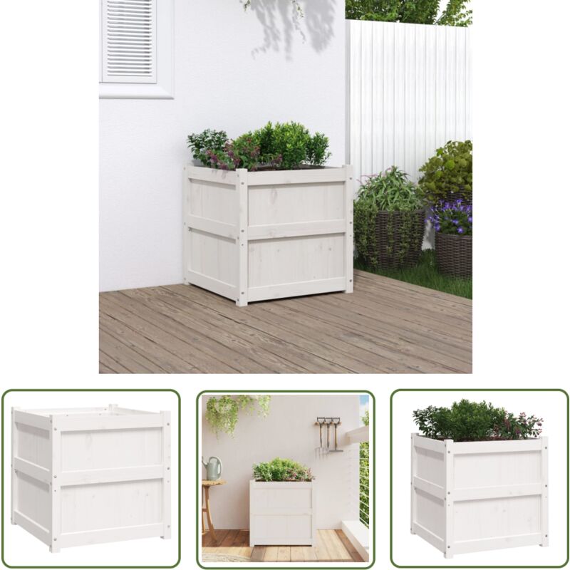 Jardinière blanc 60x60x60 cm bois de pin massif - Jardinier - Pot De Fleurs - Plante - Extérieur - Balcon - The Living Store