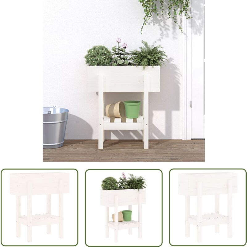 The Living Store Jardinière blanc 62x30x69 cm bois massif de pin - Jardinier - Pot De Fleurs - Bac À Plantation - Extérieur - Terrasse